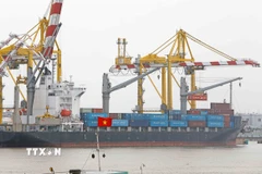 Tuổi trung bình của đội tàu biển tại Việt Nam đang cao hơn so với toàn cầu. (Ảnh: Trần Việt/TTXVN)