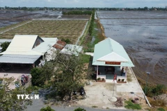 Nhà văn hóa ấp 3 và một chuồng bò “mọc lên” khiến lối đi chung ra đồng ruộng của người dân ở xã Gáo Giồng, huyện Cao Lãnh bị chắn lấp. (Ảnh: Nhựt An/TTXVN)