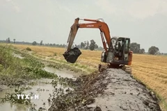Nạo vét kênh mương nội đồng để đảm bảo nguồn nước ngọt tưới lúa tại Long An. (Ảnh: Hồng Nhung/TTXVN)