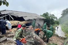 Cán bộ, chiến sỹ Đồn Biên phòng Lũng Cú khẩn trương dọn dẹp, dựng lại nhà cho người dân vùng ảnh hưởng của bão số 10. (Ảnh: TTXVN phát)