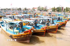 Trung tâm Đăng kiểm tàu cá.