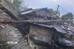 Gió lốc làm tốc mái, một số cây đổ vào nhà dân ở xã Thu Lũm, tỉnh Lai Châu. (Ảnh: TTXVN phát)