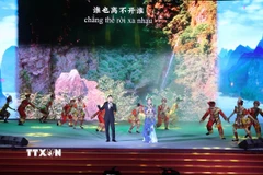Biểu diễn nghệ thuật tại chương trình. (Ảnh: Trần Lê Lâm/TTXVN)