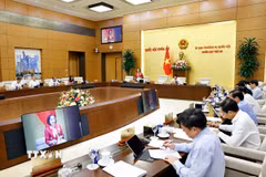 Phó Chủ tịch Quốc hội Nguyễn Thị Thanh phát biểu. (Ảnh: Doãn Tấn/TTXVN)