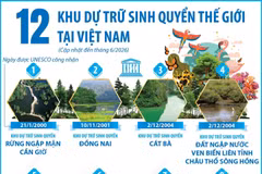12 khu dự trữ sinh quyển thế giới tại Việt Nam