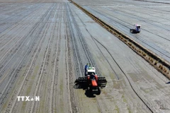 Cơ giới hóa trong khâu gieo sạ đối với diện tích tham gia mô hình canh tác lúa chất lượng cao, giảm phát thải tại huyện Tháp Mười (tỉnh Đồng Tháp). (Ảnh: Nhựt An/TTXVN)