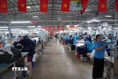 Hoạt động sản xuất tại Công ty Đồng Phú Cường (xã Thống Nhất, tỉnh Đồng Nai). (Ảnh: Công Phong/TTXVN)