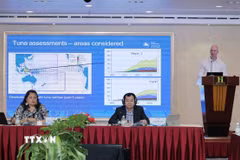 Đại diện Bộ Nông nghiệp và Môi trường, Ban Thư ký Ủy ban Nghề cá Trung và Tây Thái Bình Dương, Cộng đồng Thái Bình Dương, Đại sứ quán New Zealand tại Việt Nam chủ trì hội thảo. (Ảnh: Đặng Tuấn/TTXVN)