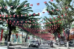 Cờ, băngrôn tuyên truyền dọc các tuyến đường trên địa bàn xã Tri Tôn, An Giang. (Ảnh: Thanh Sang/TTXVN)