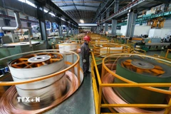 Đồng được sản xuất tại nhà máy ở tỉnh Chiết Giang, Trung Quốc. (Ảnh: THX/TTXVN)