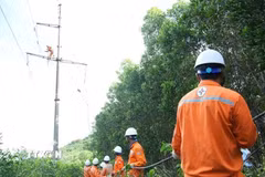 Hai đường dây mới sẽ giúp tăng cường cấp điện cho phụ tải khu vực 6 xã nằm ở phía Đông Nam của tỉnh Lâm Đồng và khu vực lân cận. (Ảnh: TTXVN phát)