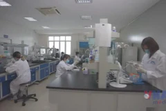 Vaccine dịch tả lợn châu Phi nâng cao vị thế nông nghiệp Việt