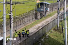 Khách du lịch đi bộ dọc tuyến đường mòn hòa bình DMZ, Paju, Hàn Quốc. (Ảnh: Yonhap/TTXVN)