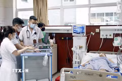 Bác sỹ sử dụng bệnh án điện tử để theo dõi và điều trị bệnh nhân. (Ảnh: Đồng Thúy/TTXVN)