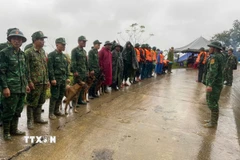 Triển khai lực lượng tìm kiếm nạn nhân mất tích trong vụ sạt lở ở xã biên giới Hùng Sơn với sự hỗ trợ của chó nghiệp vụ. (Ảnh: Bộ Tư lệnh Quân khu 5/TTXVN phát)