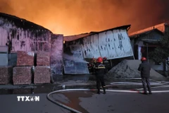 Lực lượng chức năng triển khai các phương án dập lửa, chống cháy lan. (Ảnh: Mạnh Khánh/TTXVN)