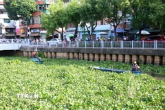 Lực lượng thu gom rác thải trên kênh Nhiêu Lộc-Thị Nghè. (Ảnh: Tiến Lực/TTXVN)