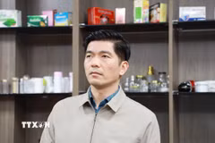 Đối tượng Đoàn Trung Đức, Tổng giám đốc Công ty TNHH MEDISTAR Việt Nam. (Ảnh: TTXVN phát)