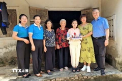 Tiến sỹ Phan Bích Thiện, Chủ tịch Diễn đàn phụ nữ Việt Nam tại châu Âu, thăm con đỡ đầu tại Việt Nam. (Ảnh: TTXVN phát)