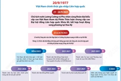 Quan hệ hợp tác Việt Nam-Liên hợp quốc