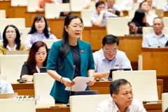 Đại biểu Quốc hội tỉnh Vĩnh Long Nguyễn Thị Quyên Thanh phát biểu. (Ảnh: Doãn Tấn/TTXVN)