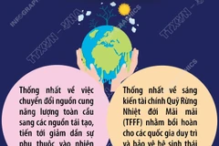 Hội nghị thượng đỉnh về Khí hậu diễn ra vào ngày 6-7/11