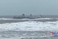 Kịp thời ứng cứu đưa 6 thuyền viên trên các tàu gặp nạn vào bờ