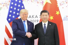 Chủ tịch Trung Quốc Tập Cận Bình (phải) trong cuộc gặp Tổng thống Mỹ Donald Trump tại Osaka, Nhật Bản ngày 29/6/2019. (Ảnh: THX/TTXVN)