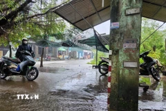 Mưa tại Huế và khu vực duyên hải Nam Trung Bộ nguy cơ có cường độ lớn trên 100 mm/3h. (Ảnh: Mai Trang/TTXVN)