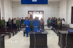 Quang cảnh phiên tòa xét xử hai đối tượng tổ chức cho người khác nhập cảnh trái phép. (Ảnh: TTXVN phát)