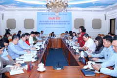 Quang cảnh buổi giám sát. (Ảnh: Xuân Khu/TTXVN)