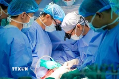 Bác sỹ Bệnh viện Đại học Y dược Thành phố Hồ Chí Minh thực hiện ghép tim cho bệnh nhi 9 tuổi. (Ảnh: TTXVN phát)