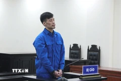 Bị cáo Âu Hải Hưng tại phiên tòa. (Ảnh: Kim Anh/TTXVN)