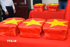 Các mẫu sinh phẩm được Tổ công tác đưa vào hộp ngăn nắp, cẩn thận. (Ảnh: Văn Đông/TTXVN phát)