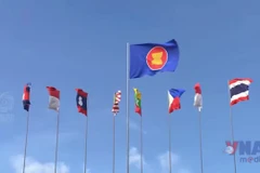 Indonesia ủng hộ EU sớm gỡ thẻ vàng IUU với Việt Nam