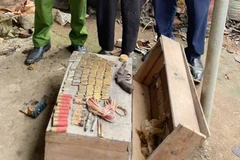 Số vũ khí, vật liệu nổ được bà Phạm Thị Tiến phát hiện và giao nộp. (Nguồn: Báo Bắc Ninh)