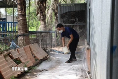 Trước nguy cơ dịch tả lợn châu Phi bùng phát trên diện rộng người chăn nuôi lợn tại xã Xuân Sơn, Thành phố Hồ Chí Minh phải tăng cường rắc vôi xung quanh trang trại. (Ảnh: Hoàng Nhị/TTXVN)