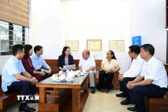 Phó Chủ tịch nước thăm và tặng quà gia đình thương binh. (Ảnh: TTXVN)