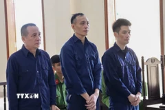 Các bị cáo nghe Hội đồng xét xử tuyên án. (Ảnh: TTXVN phát)