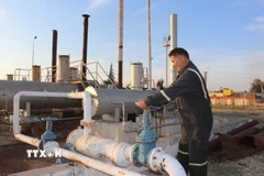 Công nhân làm việc tại nhà máy lọc dầu ở Qamishli, tỉnh Hasakah, Syria. (Ảnh: THX/TTXVN)