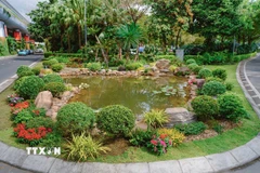 Hồ cá sinh thái tuần hoàn từ nước thải tái chế tại Nhà ga quốc tế Đà Nẵng vừa ra mắt. (Ảnh: TTXVN phát)