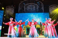 Một tiết mục văn nghệ do bà con xứ nghệ tự biên và biểu diễn. (Ảnh: Việt Thắng-Ngọc Long/Vietnam+)