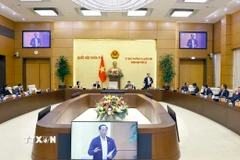 Quang cảnh phiên họp. (Ảnh: Doãn Tấn/TTXVN)