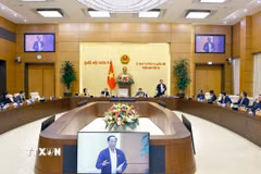 Quang cảnh phiên họp. (Ảnh: Doãn Tấn/TTXVN)