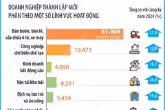 9 tháng năm 2025, số doanh nghiệp mới và quay trở lại hoạt động tăng 26,4%