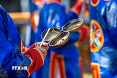 Ảnh minh họa. (Ảnh: Vân Chi/TTXVN phát)