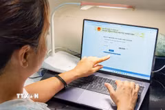 Thí sinh tra cứu điểm thi tốt nghiệp THPT. (Ảnh: Thanh Tùng/TTXVN)