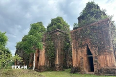 Tháp Khương Mỹ có niên đại vào khoảng đầu thế kỷ thứ 10, được coi là nhóm tháp Chăm còn tồn tại khá nguyên vẹn đến ngày nay. (Ảnh: Đỗ Trưởng/TTXVN)