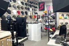 (Ảnh minh họa. Hương Giang/TTXVN)