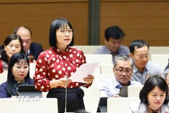 Đại biểu Quốc hội thành phố Hải Phòng Nguyễn Thị Việt Nga phát biểu. (Ảnh: Doãn Tấn/TTXVN)